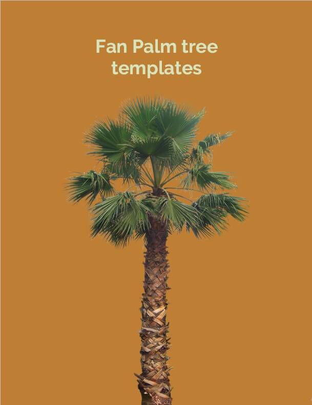 Fan Palm tree templates