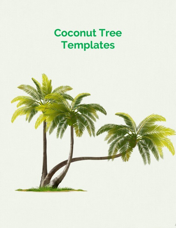 coconut tree templates