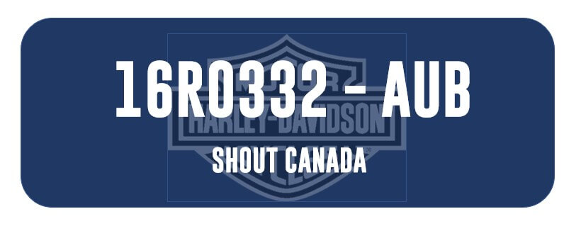 Printable Temporary License Plate Shout canada
