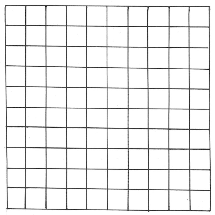 Blank 100 Square Grid Printable