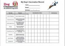 Dog Vaccination Record Form Pdf