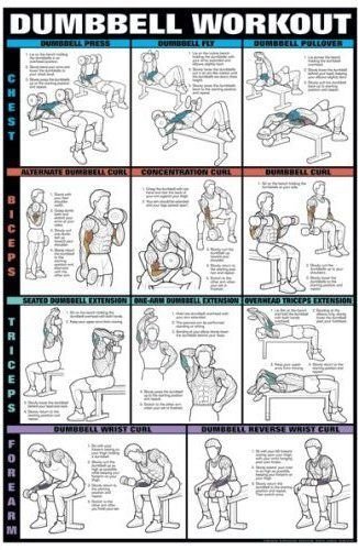 Dumbbell Workout Chart Printable | room surf.com