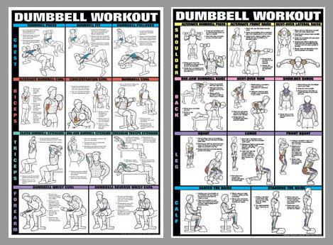 Dumbbell Workout 2 Poster Professional Fitness Wall Chart Combo 
