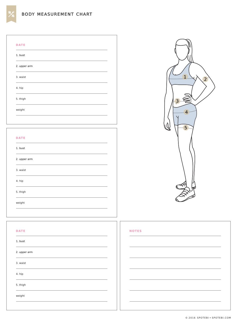 Printable Body Measurement Chart Room Surf Com