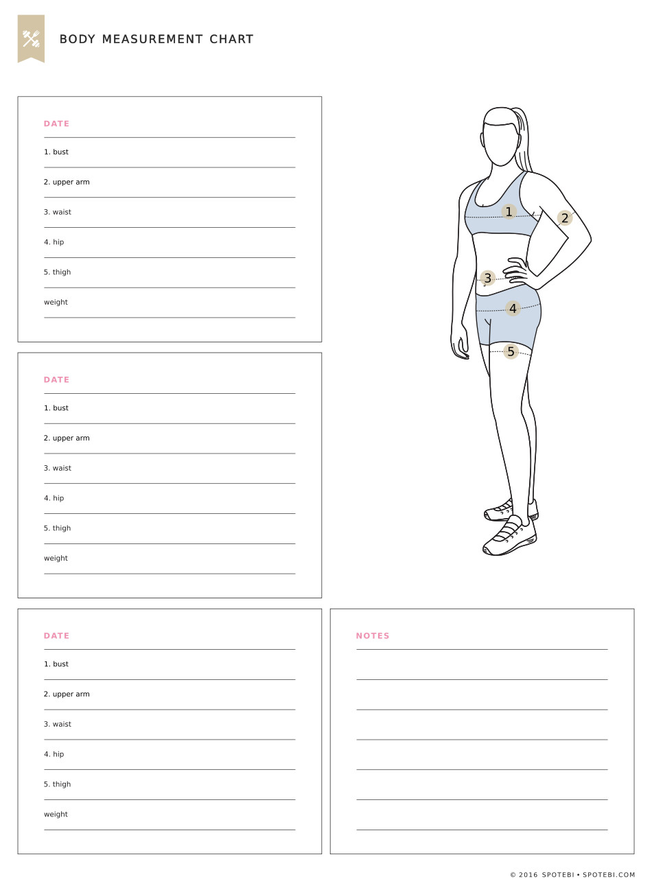 Height And Body Measurement Chart