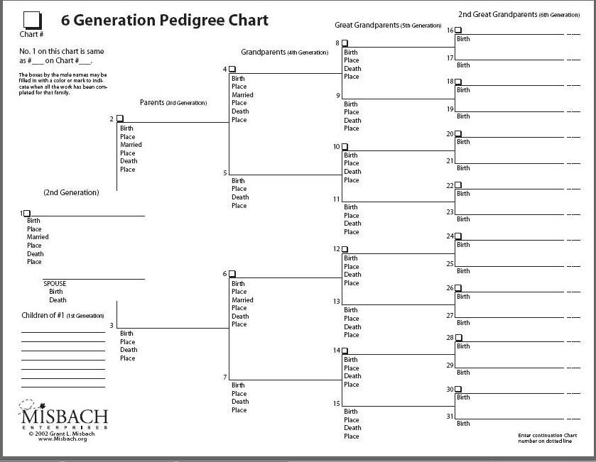 Blank Pedigree Chart Template