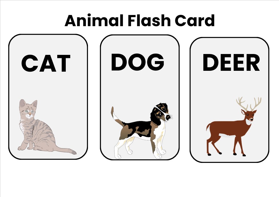 Animal flash cards template
