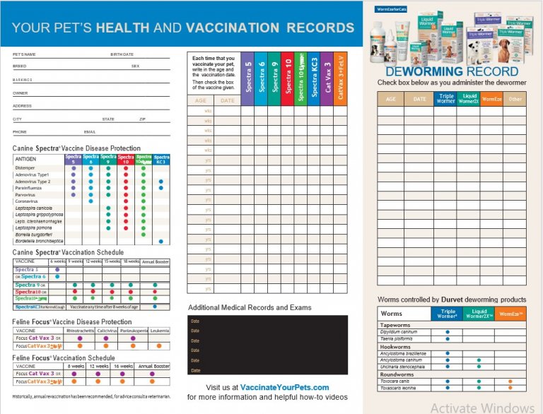 Dog Vaccination Record Printable Pdf Printable Blank World