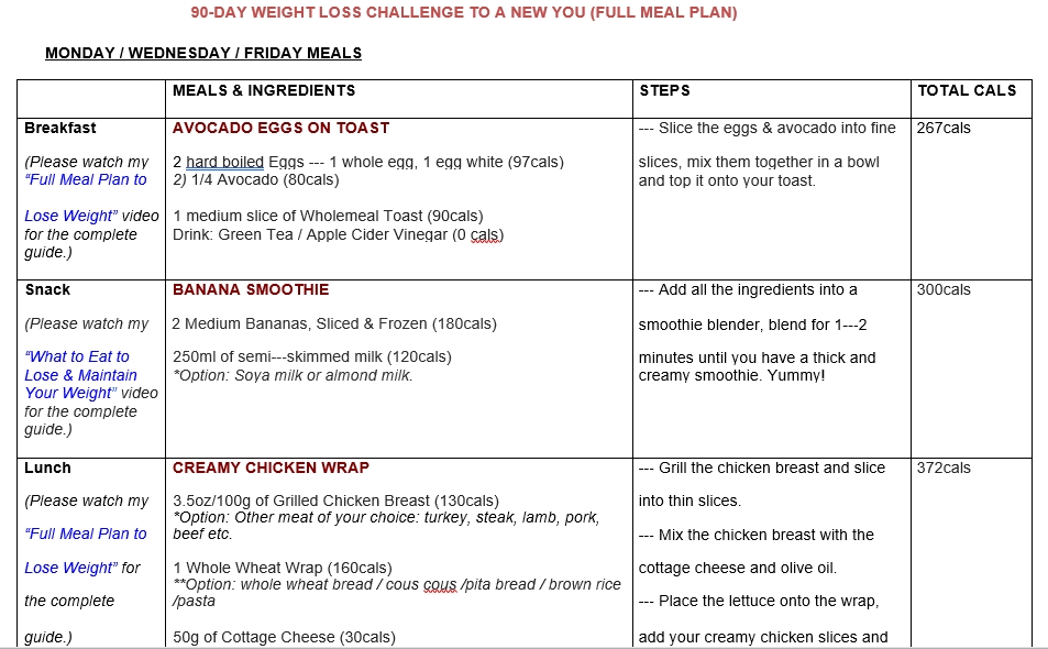 90 Day Meal Plan Template Room Surf