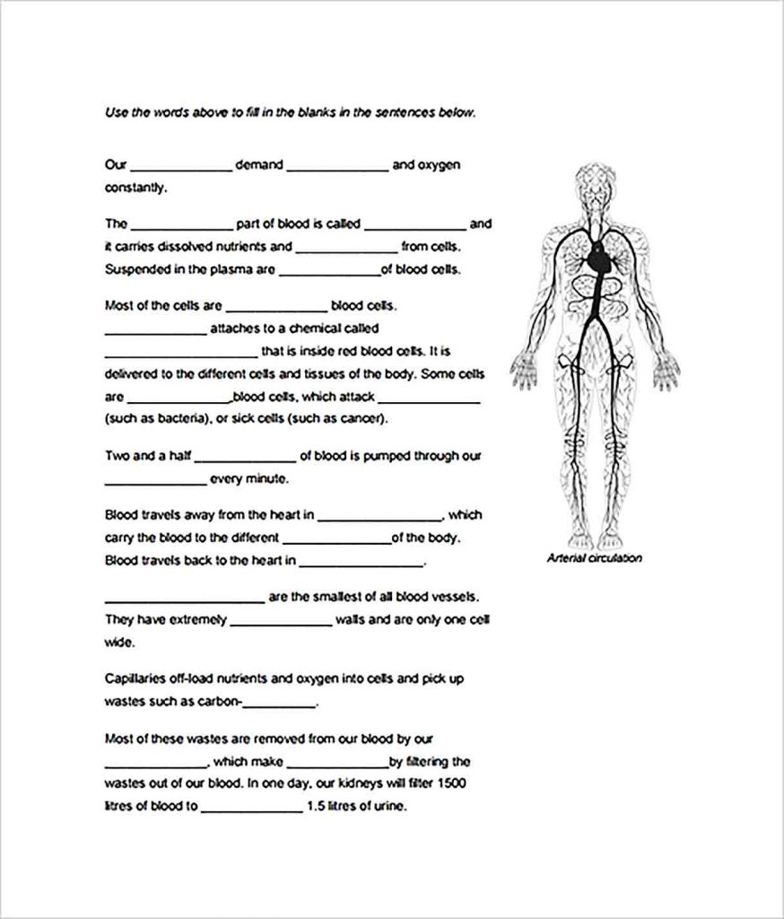 Sample Human Body Outline Template for the Learning Media to Draw