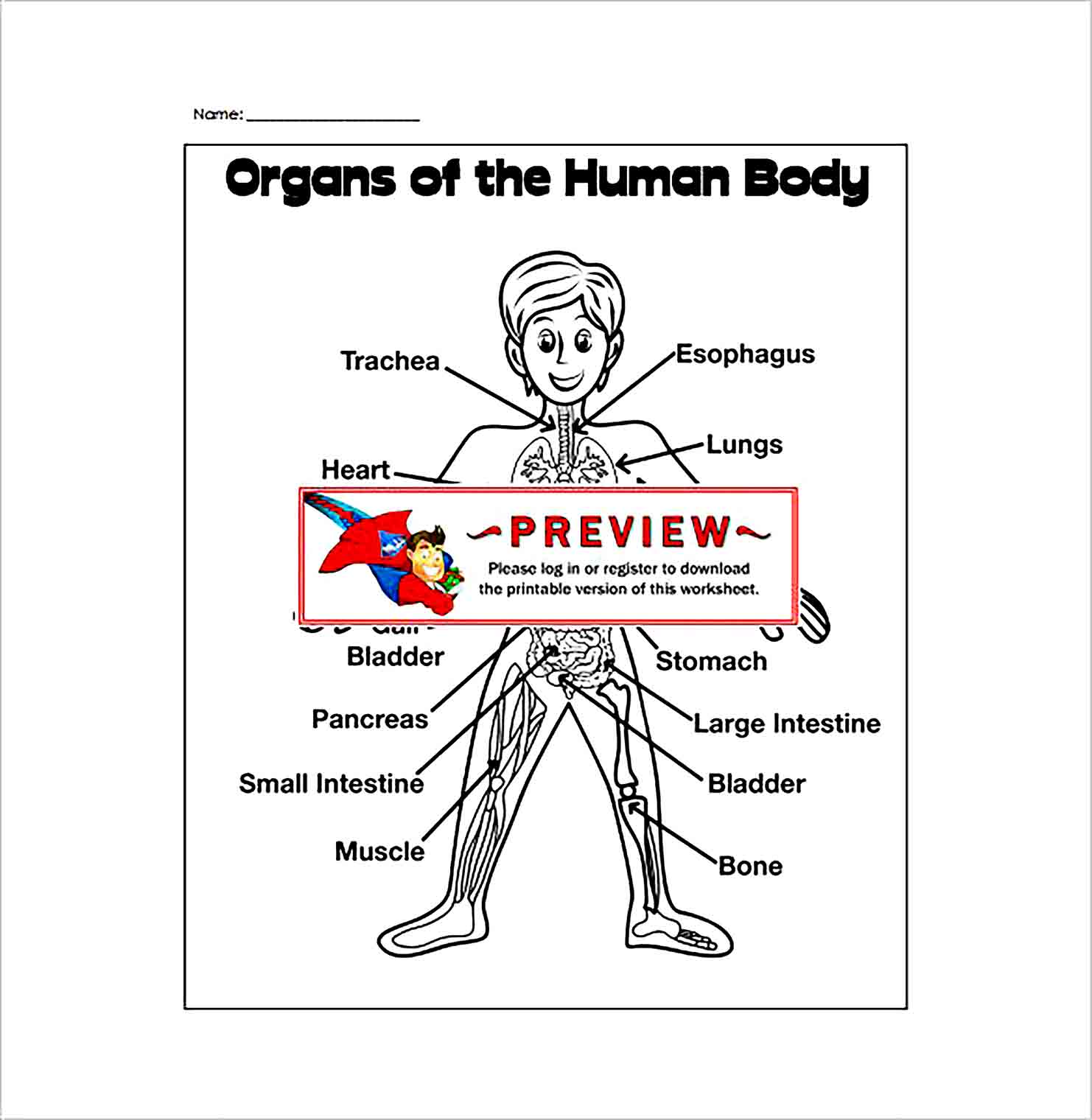 Sample Human Body Outline Template for the Learning Media to Draw