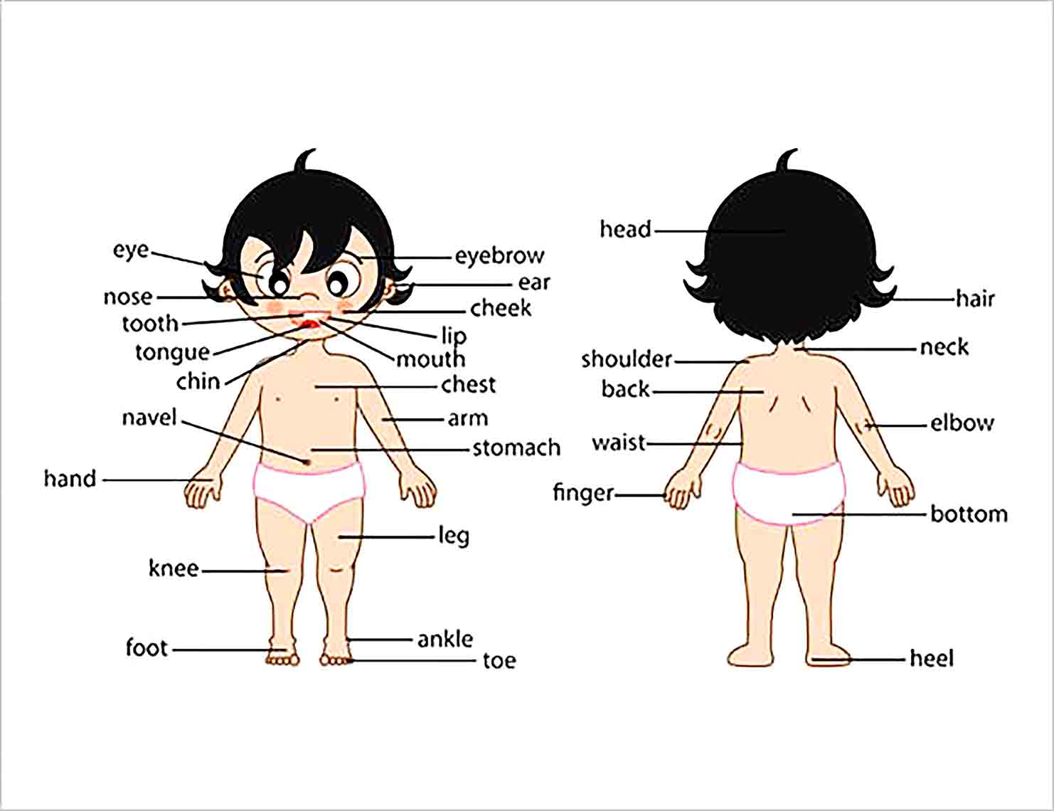 Featured image of post Blank Cartoon Body Outline Similar with body outline png