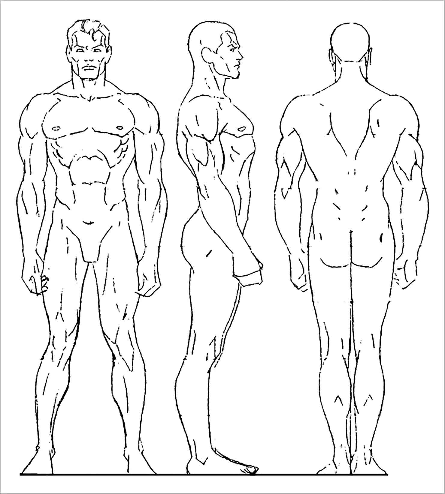 Sample Human Body Outline Template For The Learning Media To Draw Room Surf Com Download 5,861 body outline free vectors. room surf com
