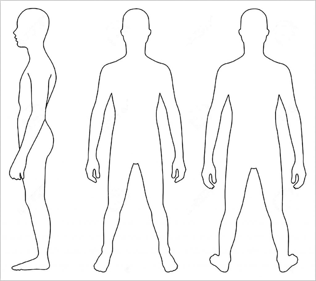 Sample Human Body Outline Template for the Learning Media