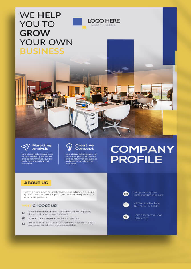 Company Profile Data Sheet Design Template