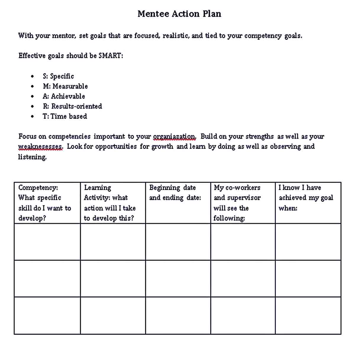 Editable Mentoring Action Plan Template