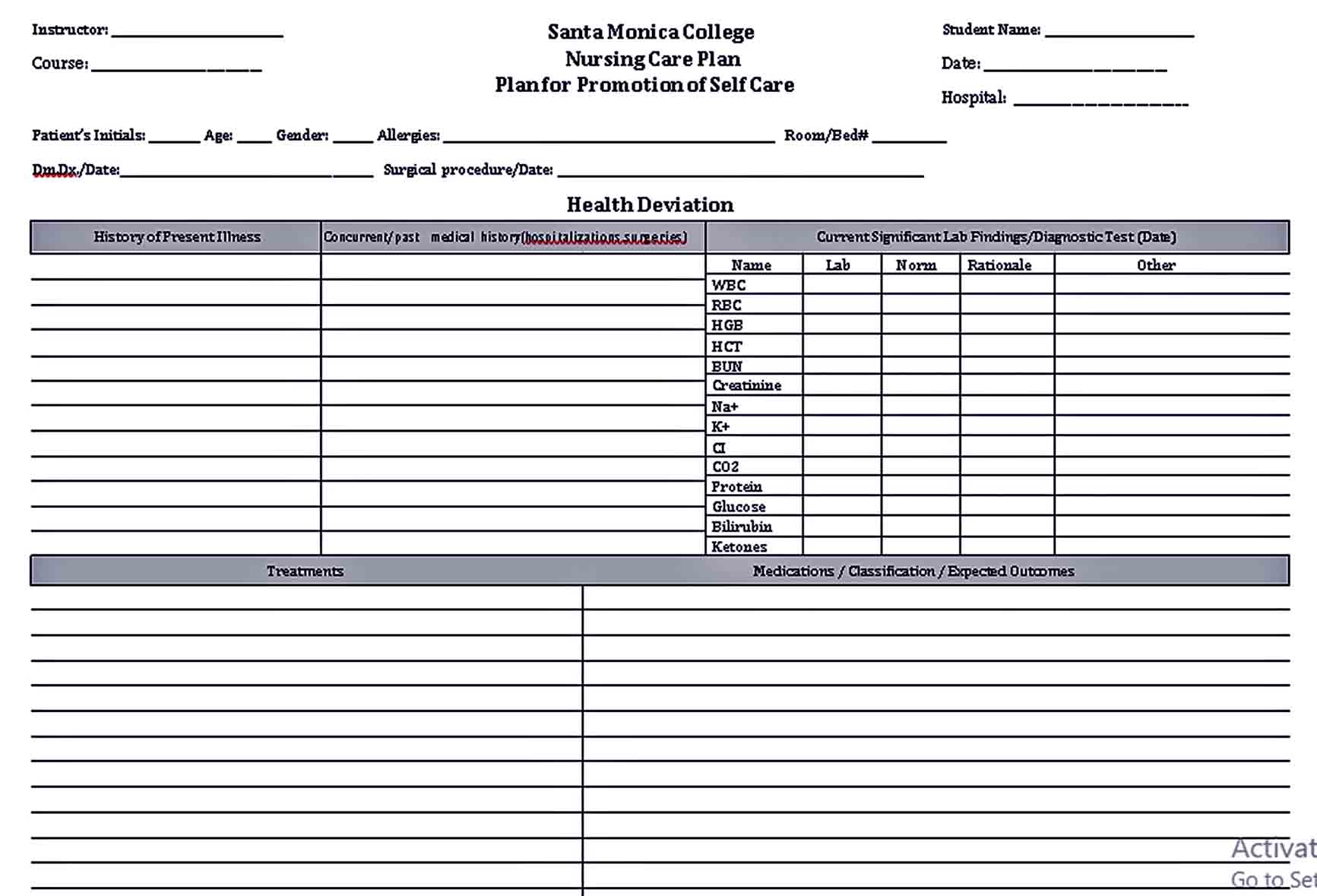 Nursing Care Plan Template Word