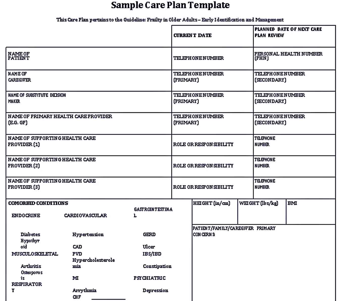 Patient Care Plan Template  room surf.com With Regard To Nursing Care Plan Templates Blank