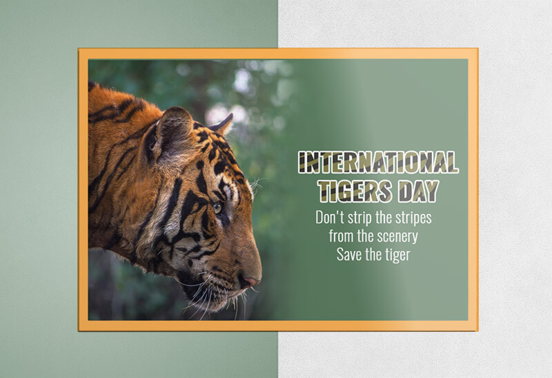 Tiger Day Greeting Card Design Template