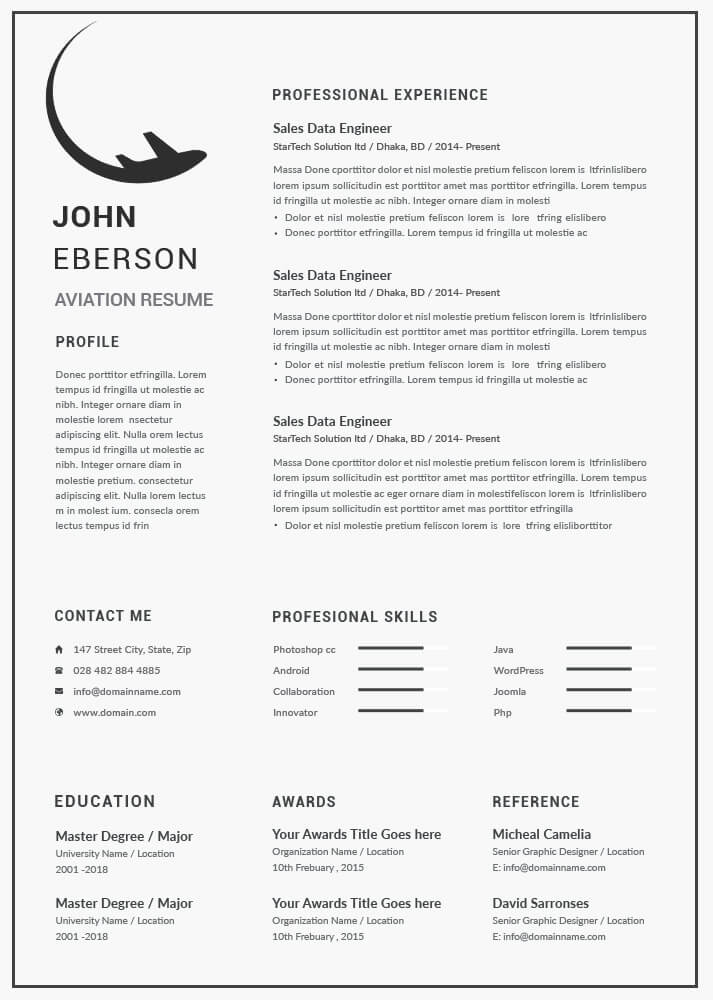 10 Aviation Resume Free Psd Template Room 