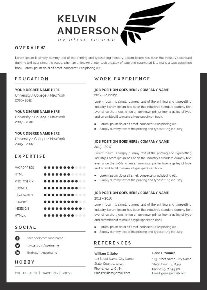 10 Aviation Resume Free Psd Template Room 