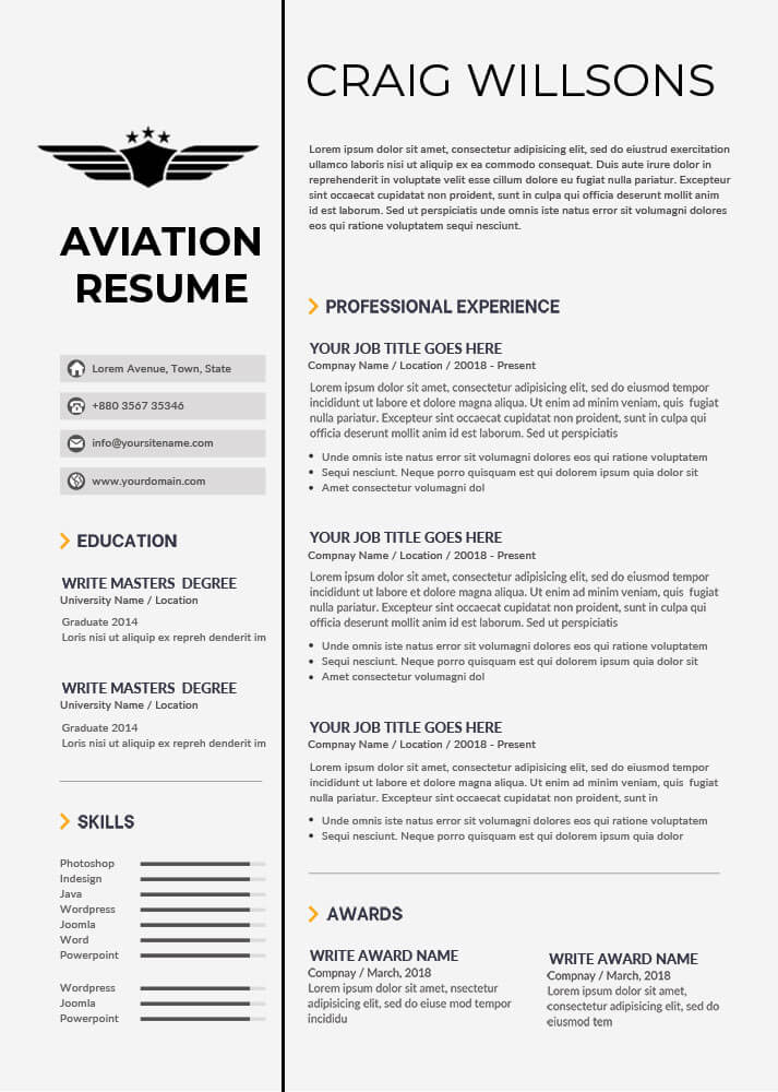 10  Aviation Resume free psd template room surf com