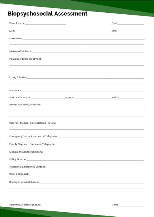 Printable Biopsychosocial Assessment Template Room Surf Com