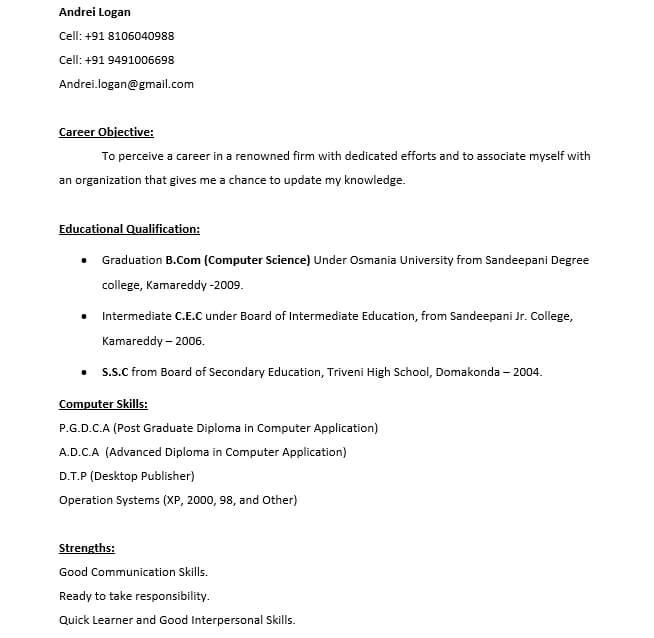 Btech Freshers Resume Format Template