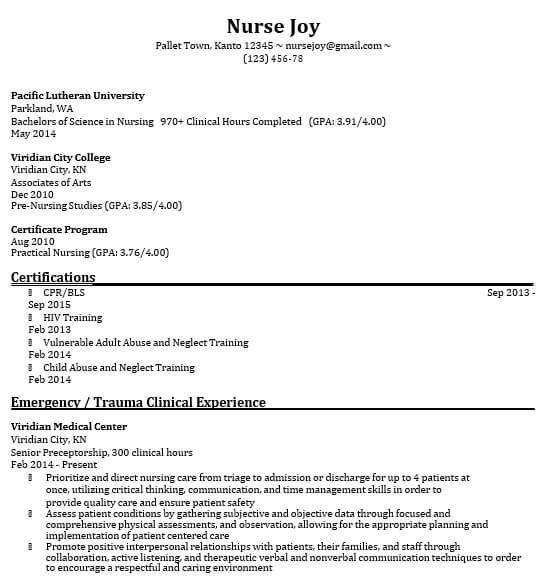 Professional Nursing Student Resume Template in PDF