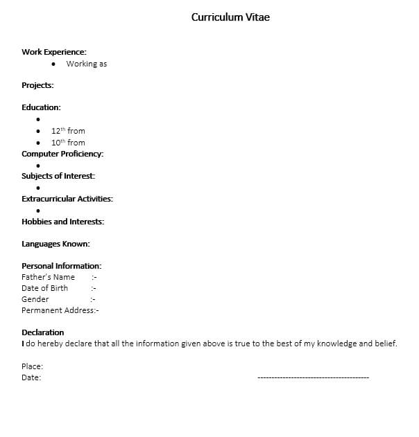 Resume Format For Fresher In Word Format
