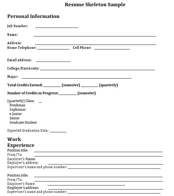 Resume Template for Federal Jobs PDF Download