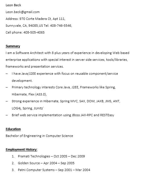 Web Services Resume Word