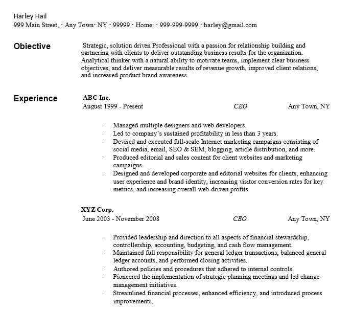 CEO Resume Free Download