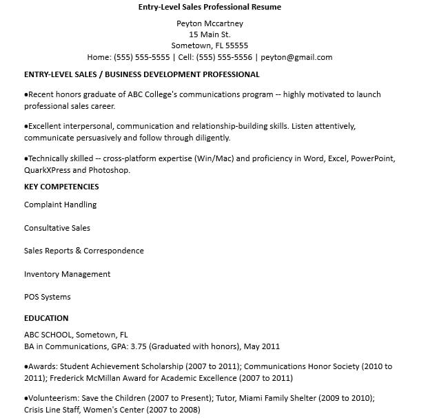 Entry Level Sales Professional Resume Template
