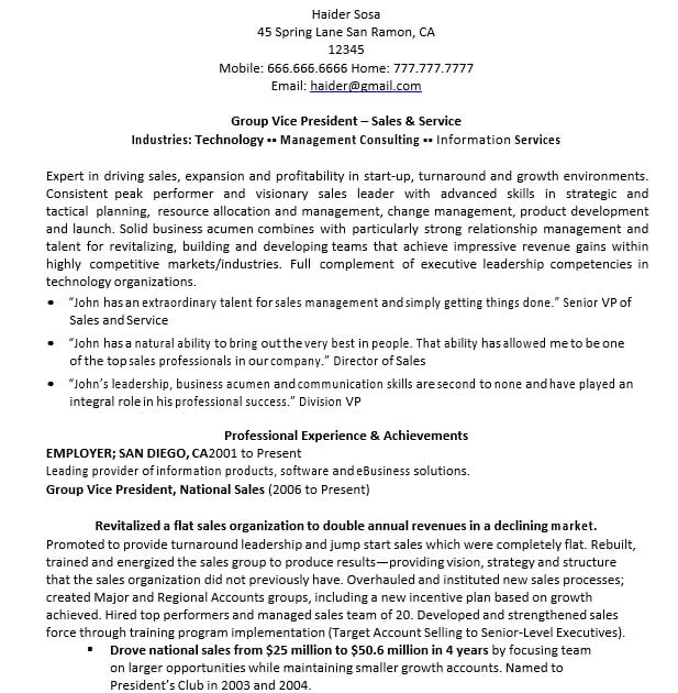 Executive Resume Sample for Sales VP