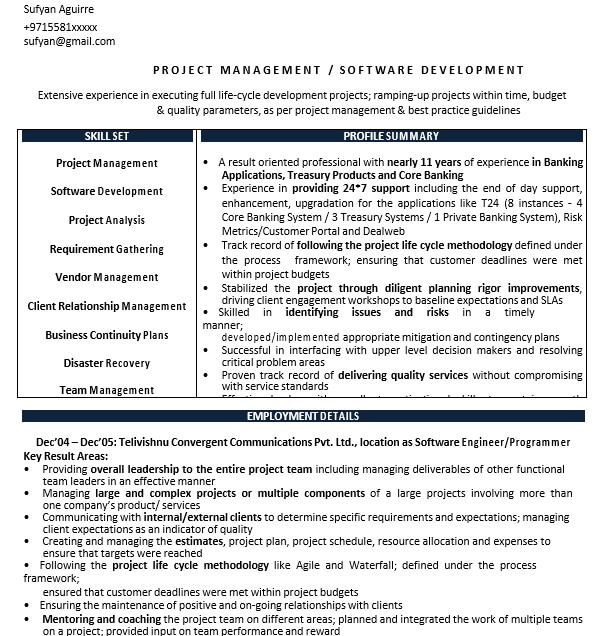 Experienced Professional Resume Format
