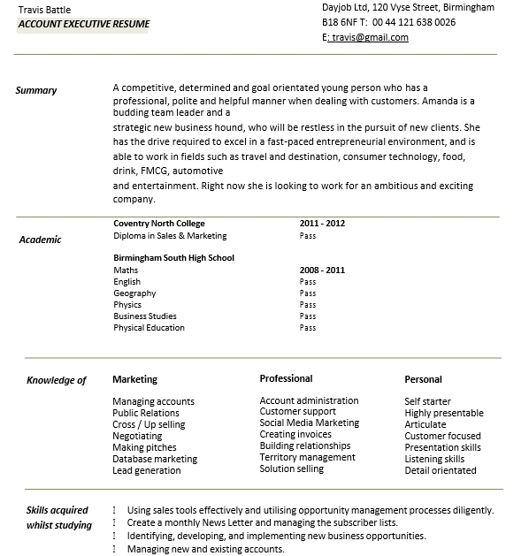 Account Executive Resume PDF Free Download