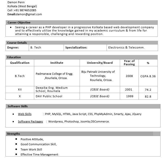 Basic Fresher Resume for Students Template