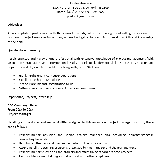 Entry Level Project Manager Resume in MS Word