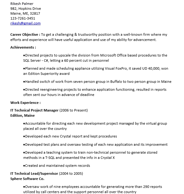 IT Technical Project Manager Resume
