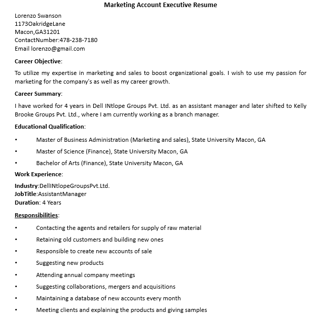 Marketing Account Executive Resume