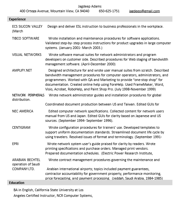 Professional Technical Writer Resume Template
