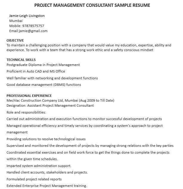 Project Management Consulting Resume