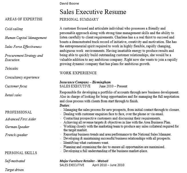 Sales Executive Resume PDF Free Download
