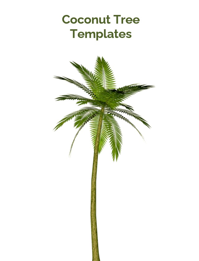 Coconut tree templates