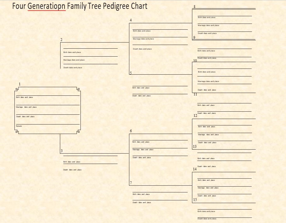 Four Generation Family Tree Pedigree Chart