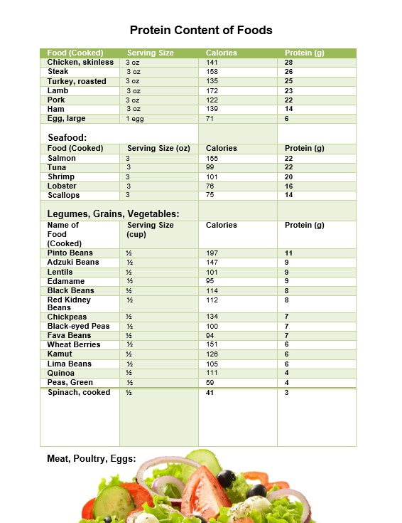 Protein Food Calorie Chart
