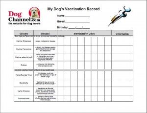 dog vaccination record template | Printable Dog Vaccination Record 