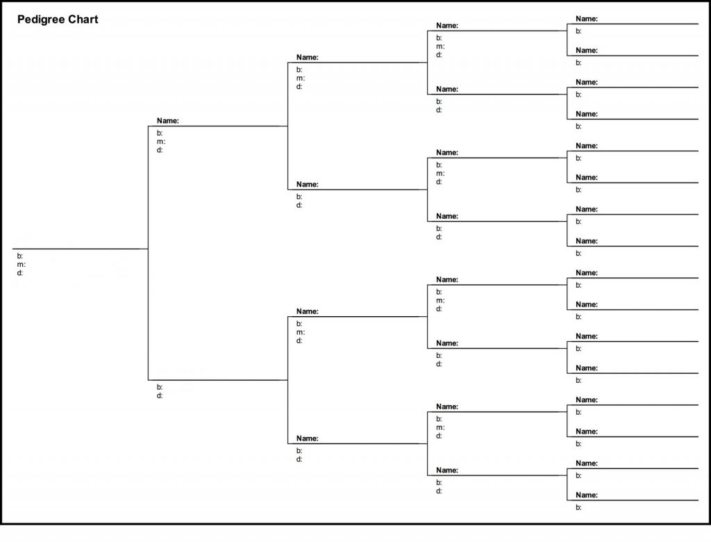 printable genealogy chart pedigree chart 5gen