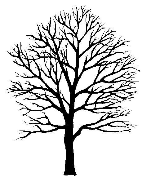 Birch Tree Stencil | Free Stencil Gallery